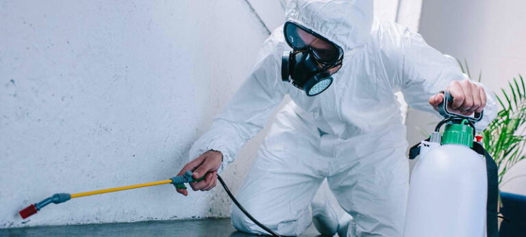 Disinfestazione straordinaria da pulci a Ridotti di Balsorano nella giornata del 31 marzo