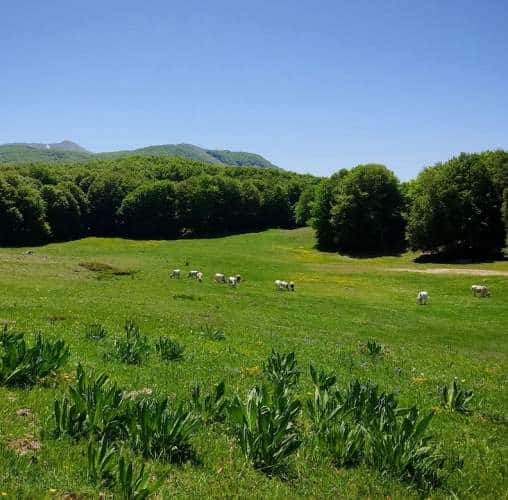 Prati di Sant'Elia a Collelongo: stop a camper e roulotte