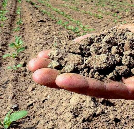 Grave carenza idrica nel Fucino: il Comune di Avezzano vieta l'uso dell'acqua a scopo irriguo