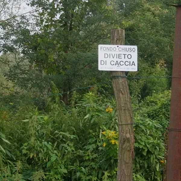 Attivo il telefono anticaccia di AIDAA: "Come contrastare caccia e cacciatori"