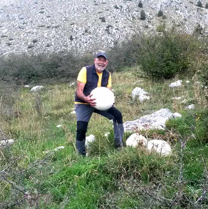 Fungo gigante raccolto su Monte San Vittorino a Celano||