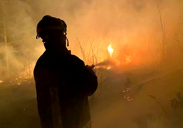 Incendio boschivo, i Carabinieri deferiscono un uomo per "negligente utilizzo di una saldatrice"