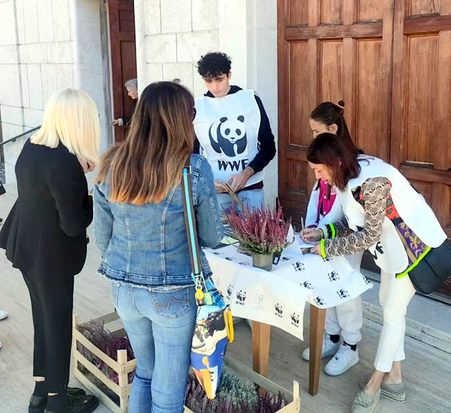 Festa della natura in città, successo per i banchetti delle parrocchie di San Rocco, Madonna del Passo e San Giovanni ad Avezzano