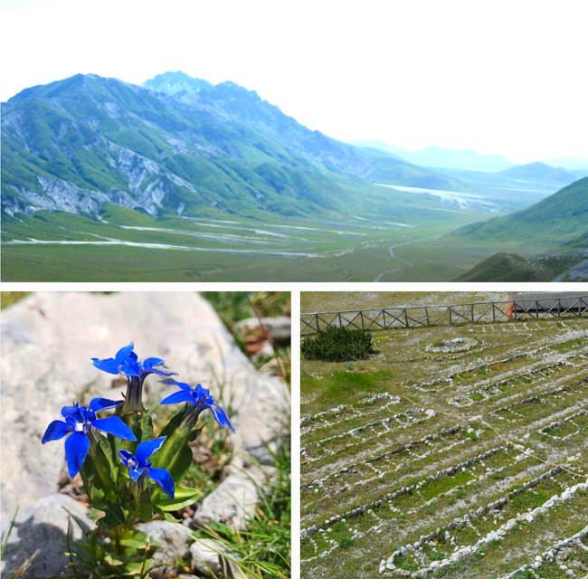 Riapre il giardino alpino "Vincenzo Rivera" sul Gran Sasso