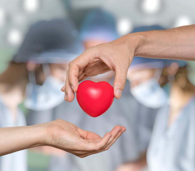 Prelievo multiplo di organi presso l'Ospedale dell'Aquila: donati cuore, fegato e reni