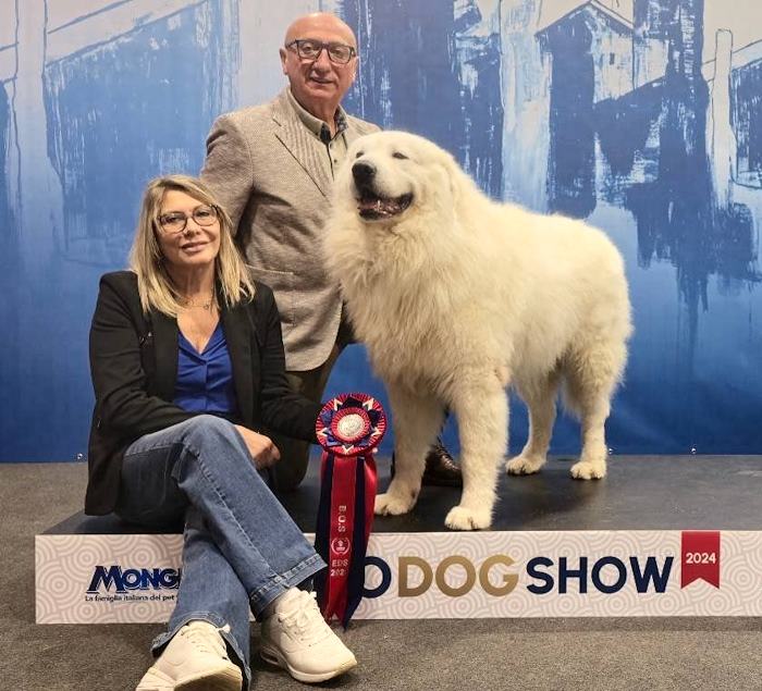 Il cane Ulisse, campione europeo dal cuore marsicano: trionfo dell'allevamento "Lucus Angitiae" all'Euro Dog Show in Slovenia