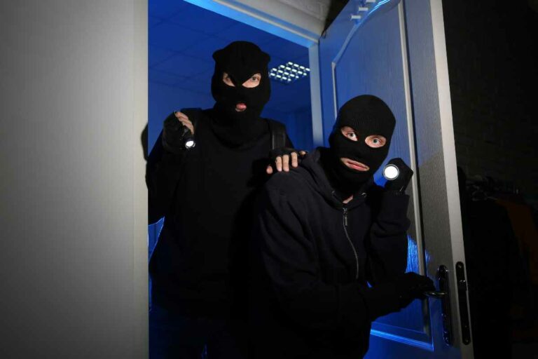 Ladri in azione