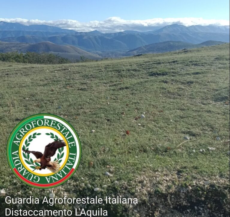 Guardia Agroforestale Italiana ODV ETS