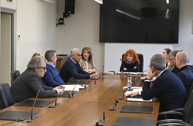 Problematiche delle aree interne: rappresentanti della Valle del Giovenco e della Piana del Cavaliere ascoltati dal Comitato per la Legislazione