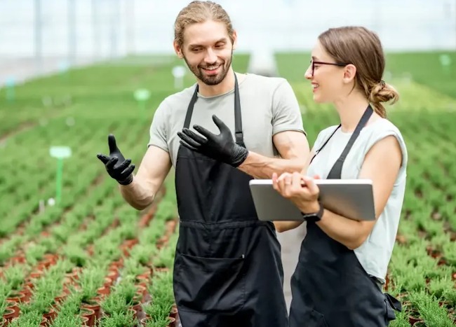 Imprese agricole e forestali abruzzesi: bando da 2,2 milioni di euro per formazione e innovazione