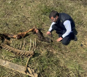 Dopo gli "orrori" nell'allevamento, l'attivista Enrico Rizzi annuncia una protesta il 19 Aprile