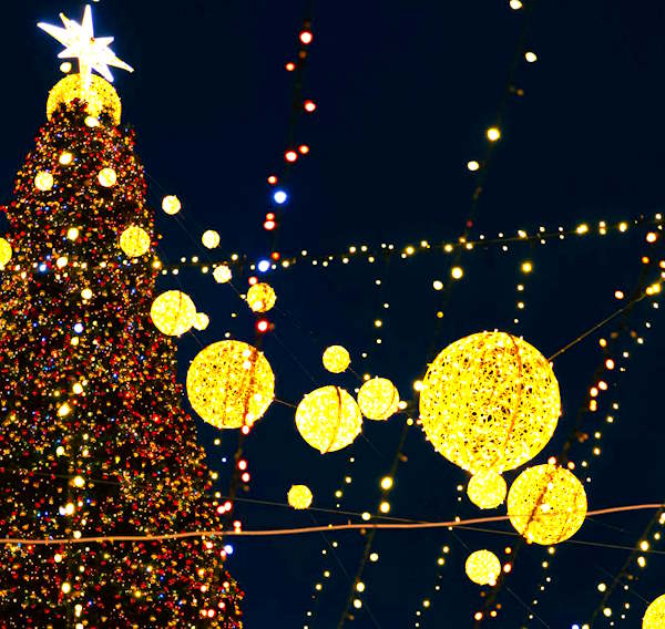 Borgo Pineta di Avezzano: l'8 Dicembre l'associazione "Madonna del Passo" accende l'albero di Natale in piazza