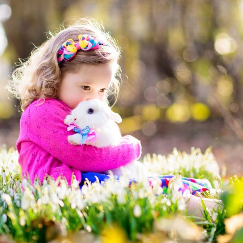 la Pasqua nella gioia del cuore