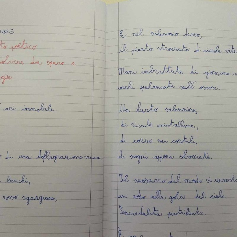 Elaborato di uno studente