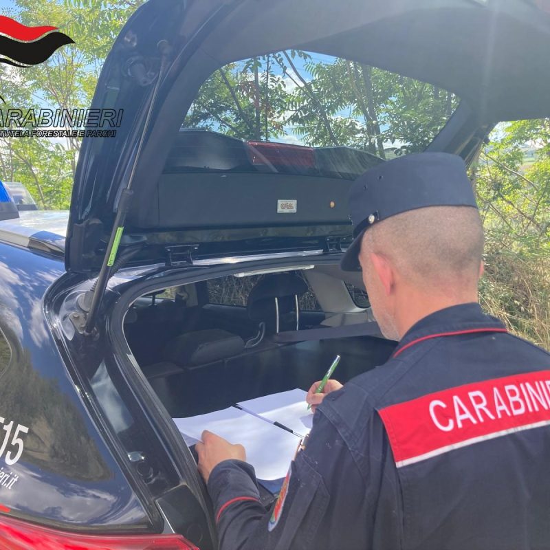 Carabinieri della Tutela Forestale e Parchi
