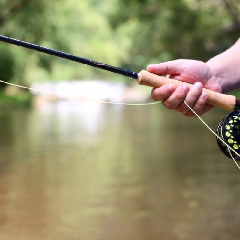 campionato pesca