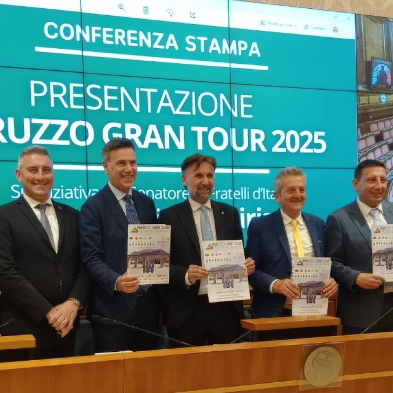 Immagine 2025-06-04 172316
