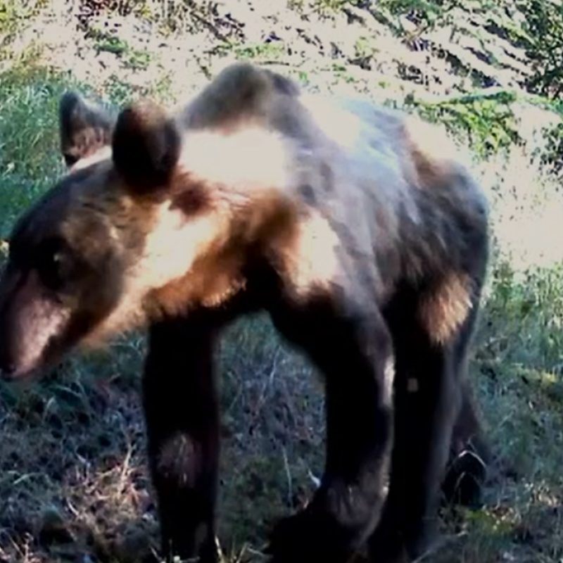 Immagine 2025-12-05 160753