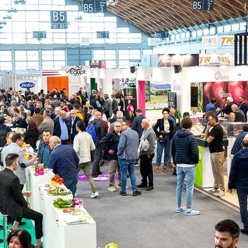 Macfrut 2025