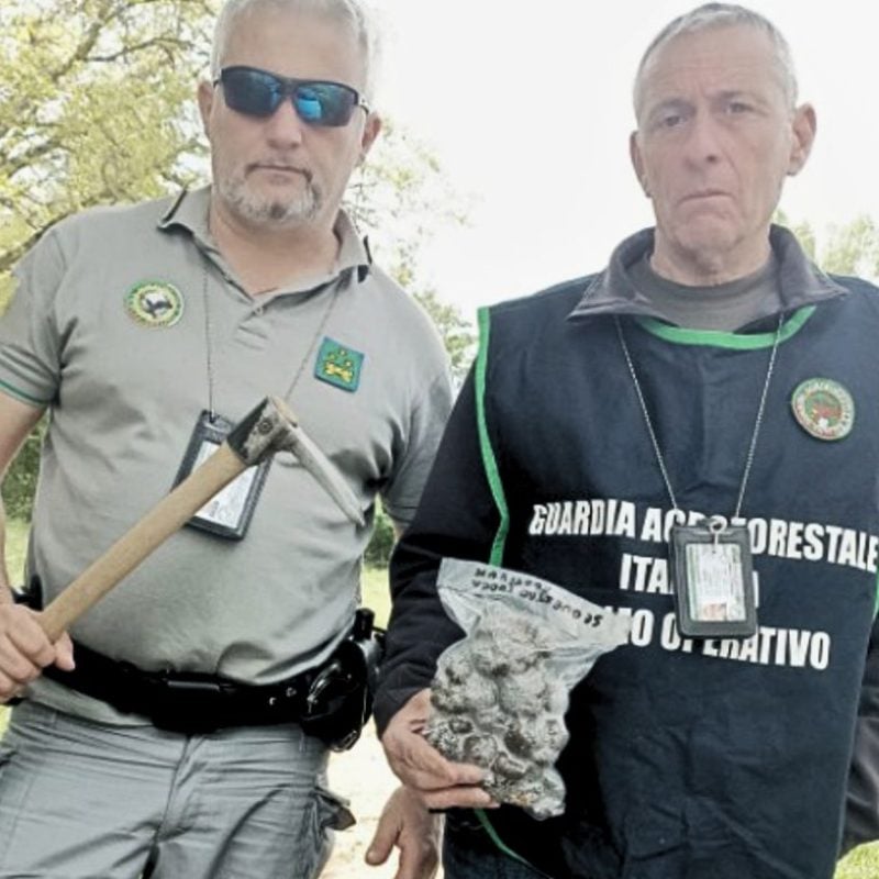 Guardie Ecozoofile/ Ambientali del distaccamento "Abruzzo" della Guardia Agroforestale Italiana, sezione L'Aquila