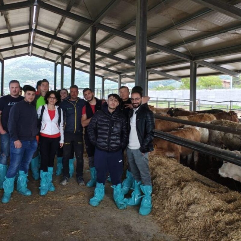 Studenti in visita alla FattoriaDiCarlo