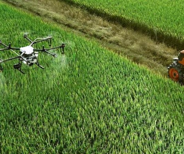 Fondo per l'innovazione in agricoltura, da oggi al via le domande