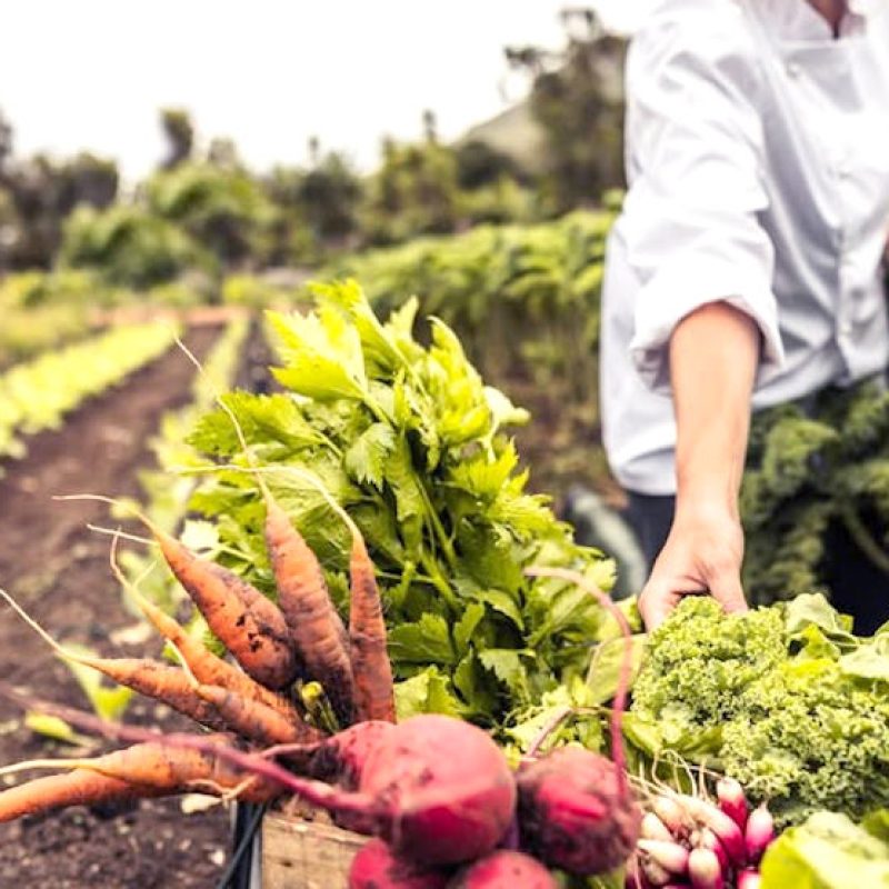 Bando da 2 milioni per la conservazione dell'agrobiodiversità in Abruzzo