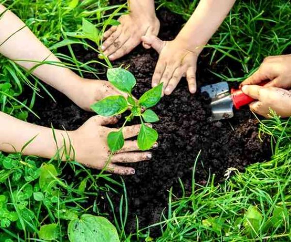 Giornata nazionale della gentilezza ai nuovi nati: Cerchio dona un albero per ogni bambino venuto al mondo
