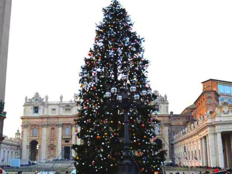 Oggi a San Pietro l'inaugurazione dell'Albero di Natale venuto dall'Abruzzo, papa Francesco ringrazia