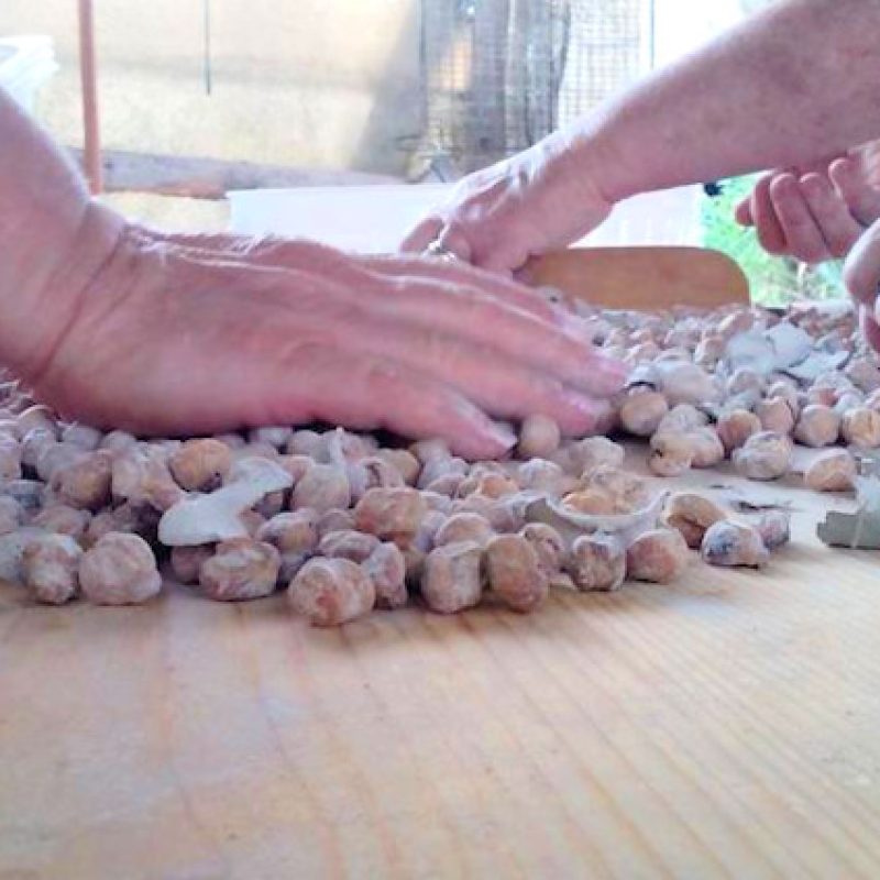 A Pescasseroli rivive l'antica tradizione dei "Ceci della Sposa"