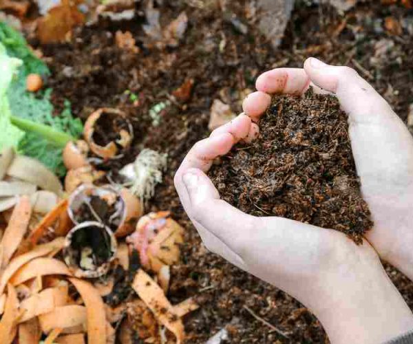 Produrre compost nel proprio giardino, il Comune di Pescasseroli mette a disposizione contenitori per i cittadini