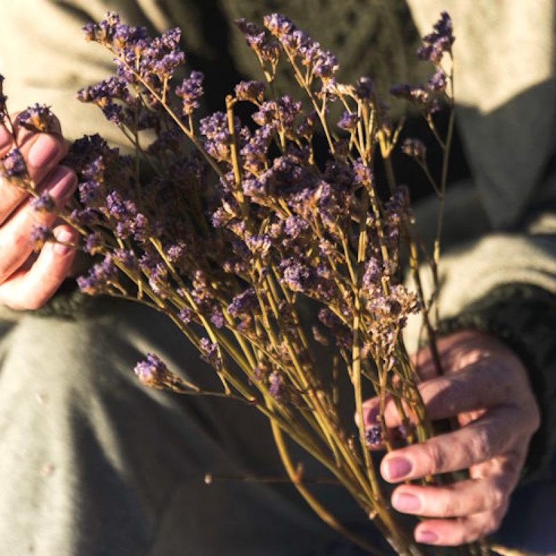 "Rubano i fiori ai defunti e li sostituiscono con quelli vecchi": l'indignazione di una cittadina di Trasacco