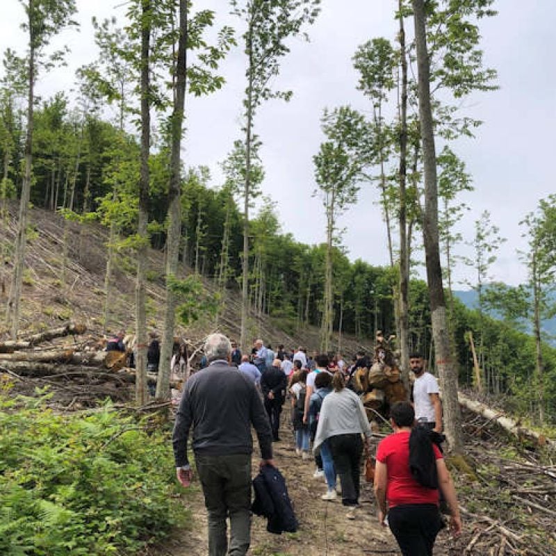 Formazione sul campo per gli studenti: successo per il progetto "Forestiamo" a Civitella Roveto