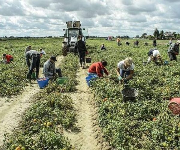 fucino lavoratori terremarsicane