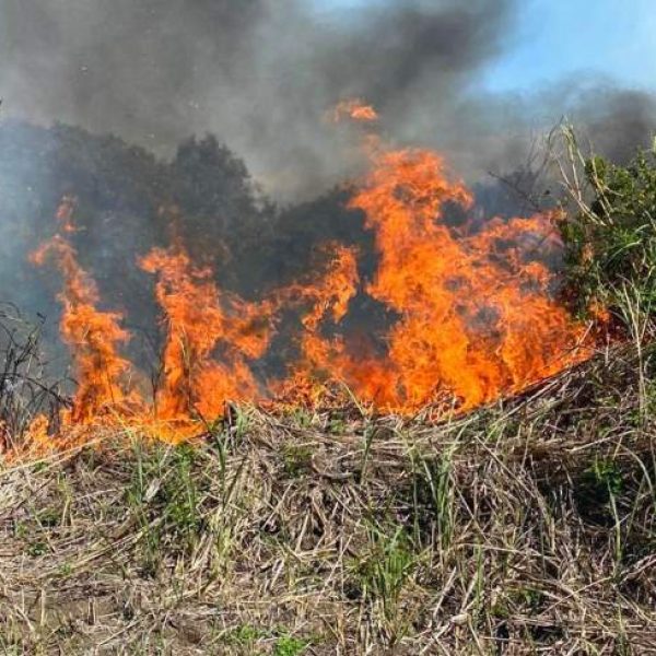 Rischio incendi: a Trasacco è vietato accendere fuochi per bruciare sterpaglie