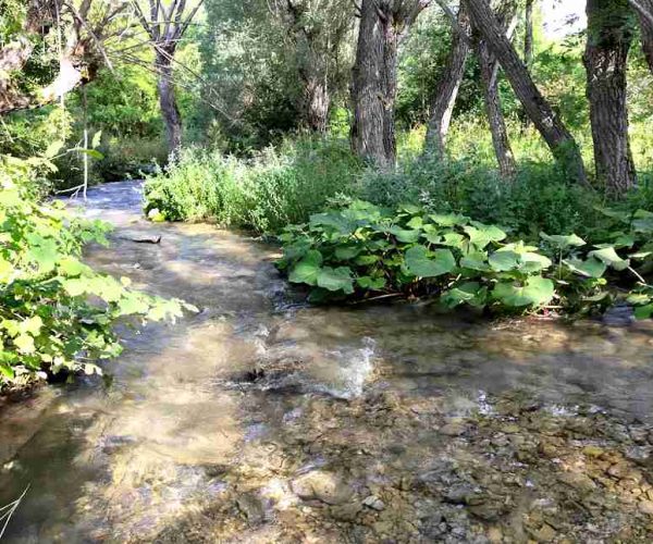 Tutela della biodiversità acquatica, Rewilding Apennines progetta di rimuovere cinque barriere fluviali sul Giovenco e una sul Liri