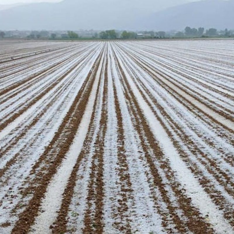 Maltempo devasta raccolti a Cerchio, Pescina, San Benedetto dei Marsi e Trasacco, Verrecchia chiede l'immediato stato di calamità