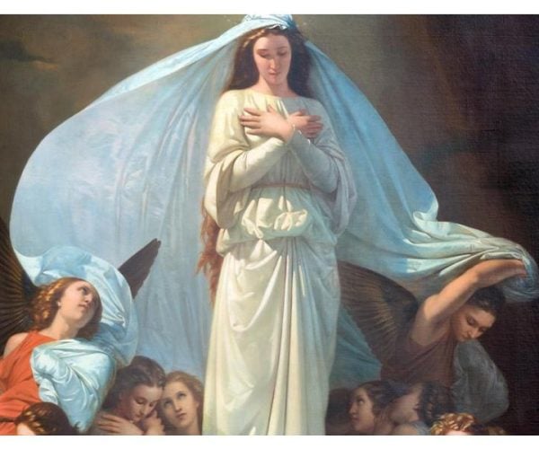 immacolata concezione