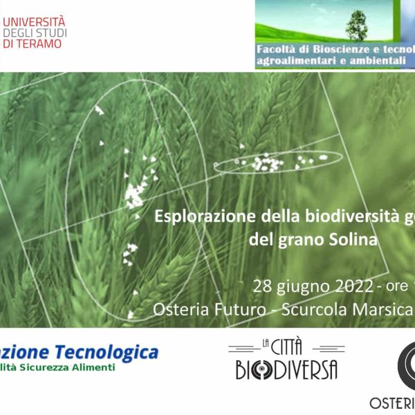 immagine - manifesto_Esplorazione della biodiversità genetica del grano Solina - 28 giugno 2022 -n