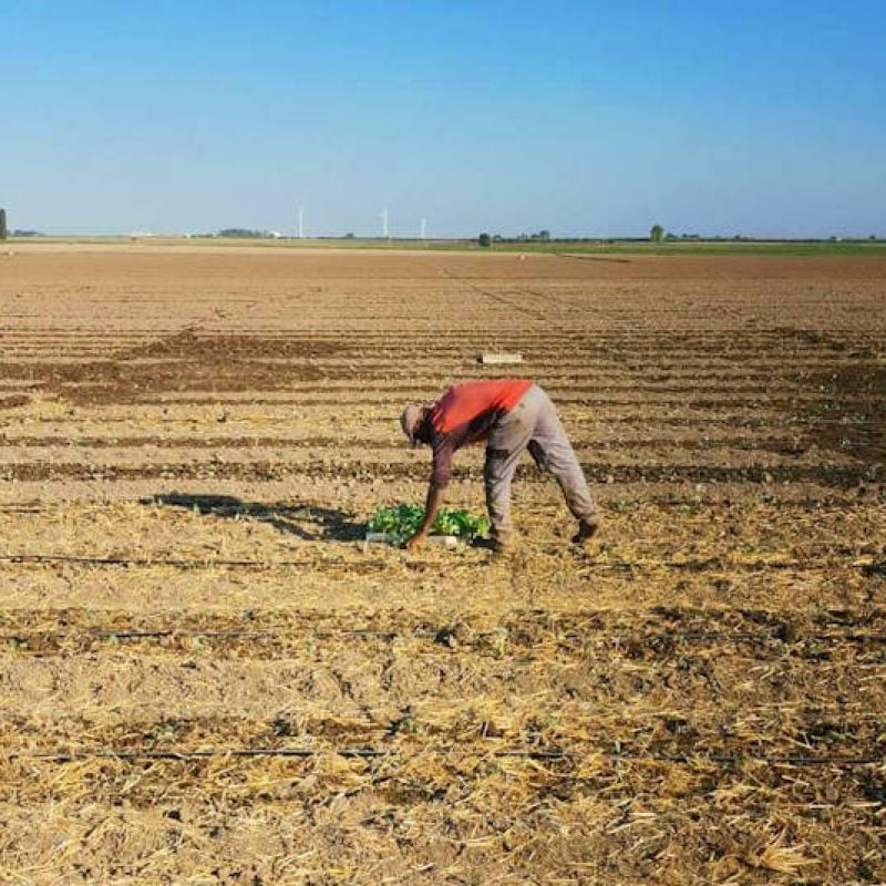 L'Abruzzo sostiene il progetto SOLEIL per contrastare lo sfruttamento lavorativo dei migranti