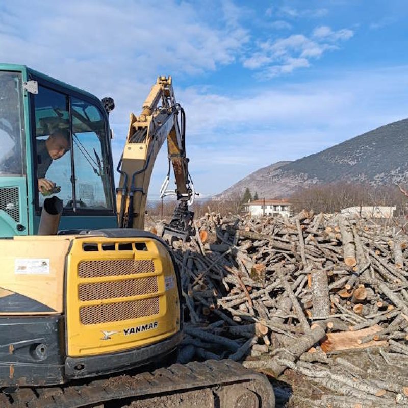 A Gioia dei Marsi ripresi i tagli boschivi dopo 40 anni, sindaco Alfonsi: "Iniziata la distribuzione del legnatico a prezzo agevolato"