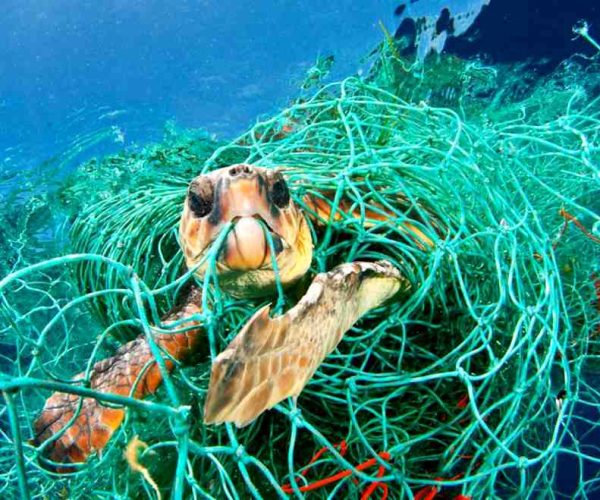 La Giornata Mondiale per l'Ambiente 2023 è dedicata alla lotta all'inquinamento da plastica
