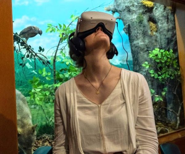 Realtà Virtuale Immersiva ambientata all’interno delle faggete vetuste presso il Centro Natura di Pescasseroli