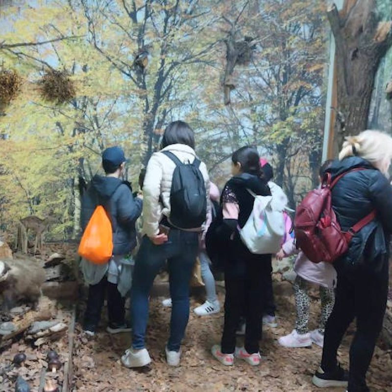 Api, natura, biodiversità: porte aperte del CAI Valle Roveto per gli alunni della "Collodi-Marini" di Avezzano