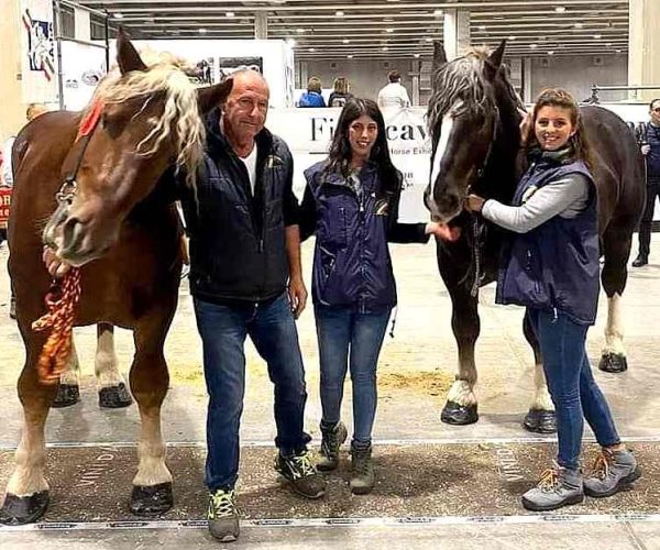 Gli stalloni Quimolo e Qebec dalla Marsica alla Puglia per migliorare e conservare la razza