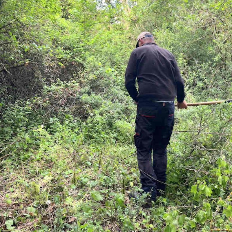 Riapertura della Via della 'Ommeta, grande lavoro a Villa San Sebastiano per recuperare l'antico sentiero